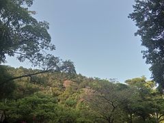 -仙岳公园