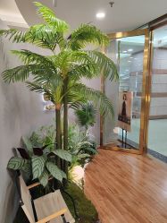 -八佰伴8008星级形象店