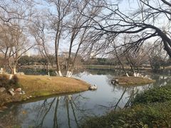 -老鼓楼汤包(太平门店)