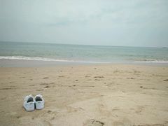 -西涌国际滨海旅游区