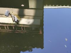 -苏州图书馆(人民路总馆)