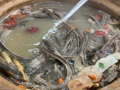 -汤氏美食台山水步特色黄鳝饭(龙津东路店)