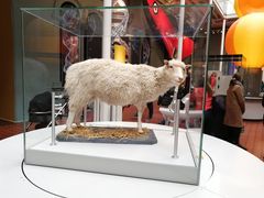 -大象咖啡馆