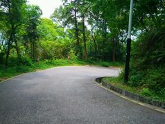 -广州市帽峰山景区
