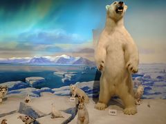 -陕西自然博物馆