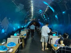 大堂-海棠湾洲际-涛·海底餐厅·美人鱼·自助餐·海底隧道