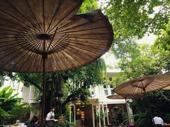 -Fern Forest Cafe