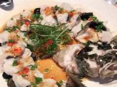 -大树餐厅(益田假日店)