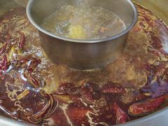 -金鼎雪山牦牛杂火锅(理县总店)