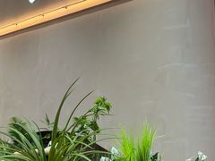 -手技王·影院足道·SPA(深圳之眼店)