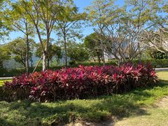 -顺峰山公园