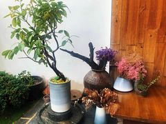 酒店后院-大理无舍度假酒店