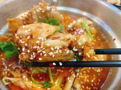 网红水煮牛蛙-陈记高压锅鱼头·生蚝