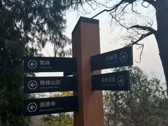 -北京鹫峰国家森林公园