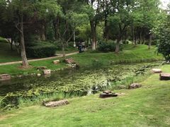 -月湖风景区