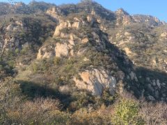 -大岭沟猕猴桃谷风景区