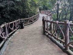 -少华山国家森林公园