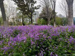 -白塘生态植物园