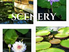 -国家植物园南园