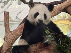 -南宁市动物园