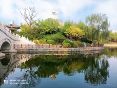 -迎泽公园