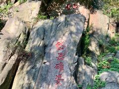 -泰山风景名胜区