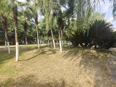 -后襄河公园