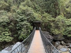 -石台牯牛降景区