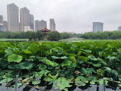 -额尔敦传统涮(公园西路店)