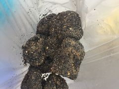 -叶氏麻糍(鼓浪屿店)