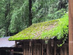 -青城山