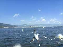 -海埂大坝