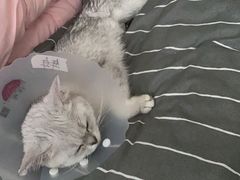 -美联众合动物医院·24h京西诊疗中心