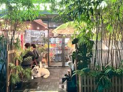 -咖法森林·咖啡  酒吧(天河店)