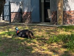 -沈阳森林动物园