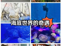 -太平洋海底世界