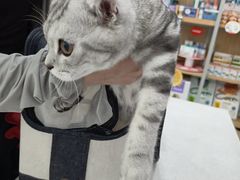 -瑞鹏宠物医院·骨外科·心肾科·肿瘤科(九亭店)