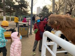 -长白岛森林公园