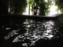 -陆地游轮吉林神农温泉