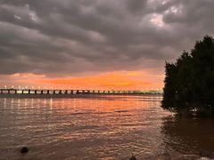 -宝安西湾红树林湿地公园