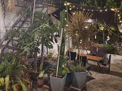 -小象钓虾·营地烧烤(洛溪店)