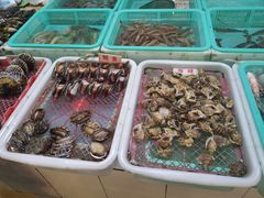 -海儀美食楼(湾仔海鲜街店)