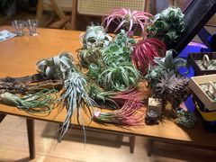 -Rabbit Cafe私房西餐甜点咖啡(栖霞路店)