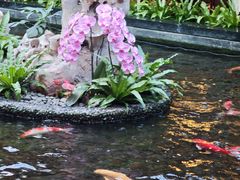 -广州白天鹅宾馆