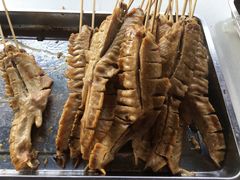 -美的鹭湖探索王国