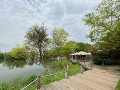 -新荣记(西溪湿地店)