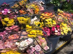 -循礼门鲜花花市(武汉循礼门店)