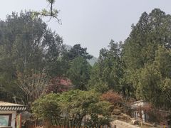 -北京鹫峰国家森林公园