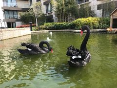 -行者书屋大堂吧 ·下午茶(南京圣和府邸酒店)