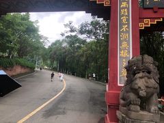 -老君山